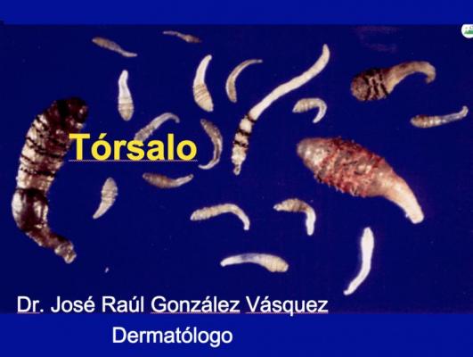 Tórsalo