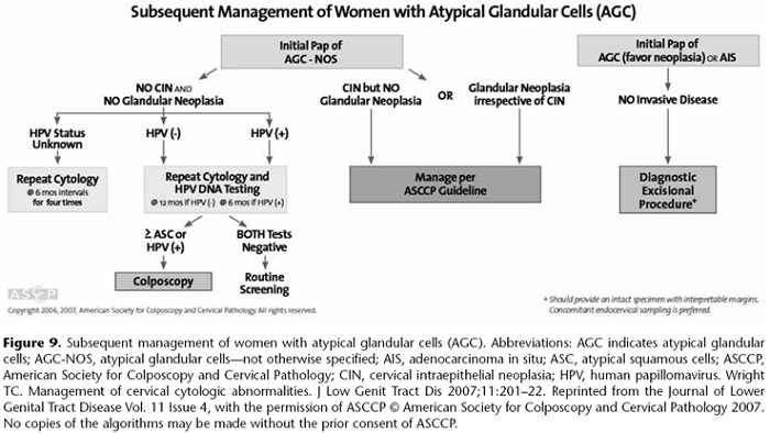 Manejo  de la citología positiva a neoplasia intra-epitelial cervical